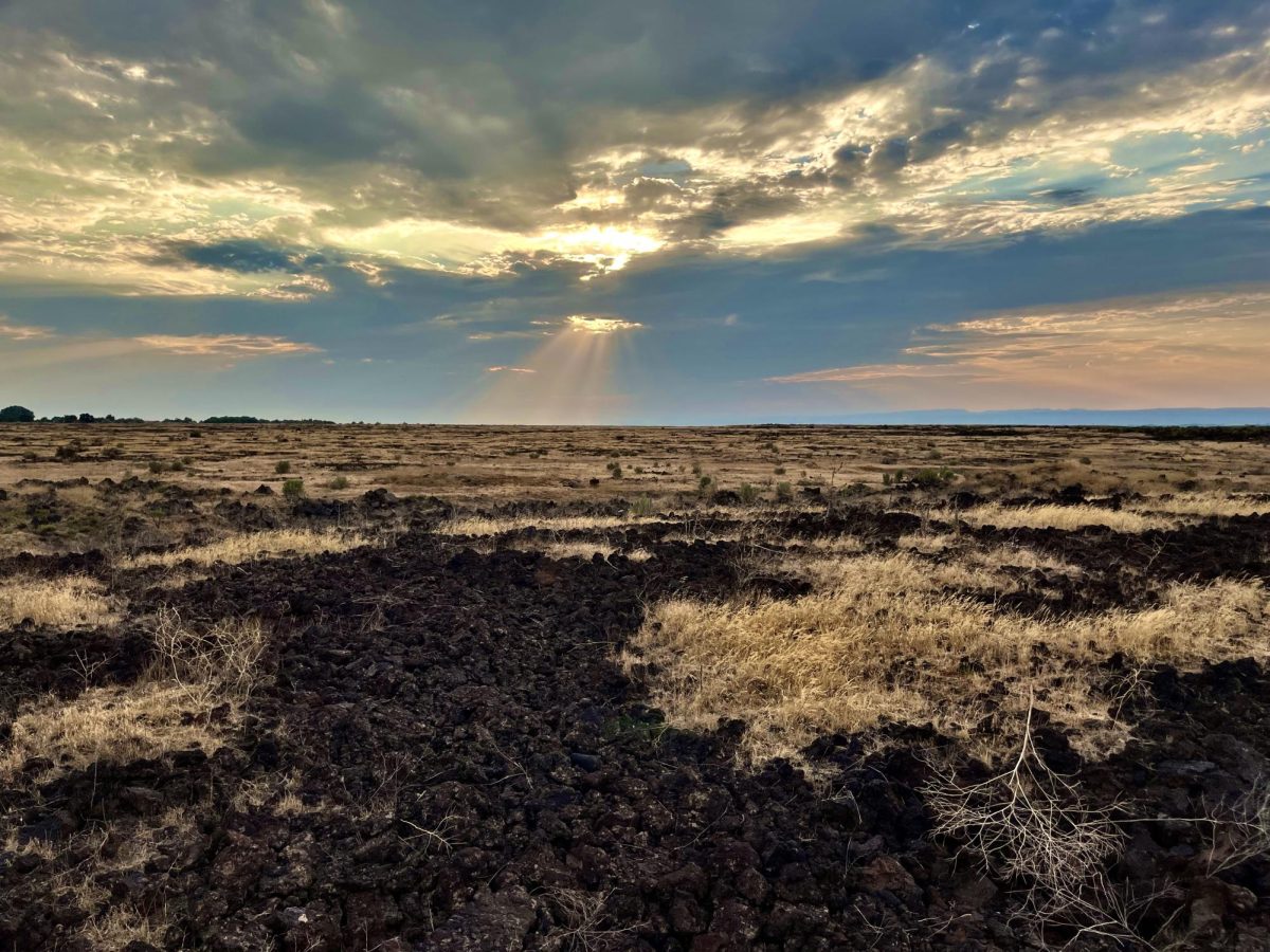 Magic Valley Energy still committed to Lava Ridge windfarm